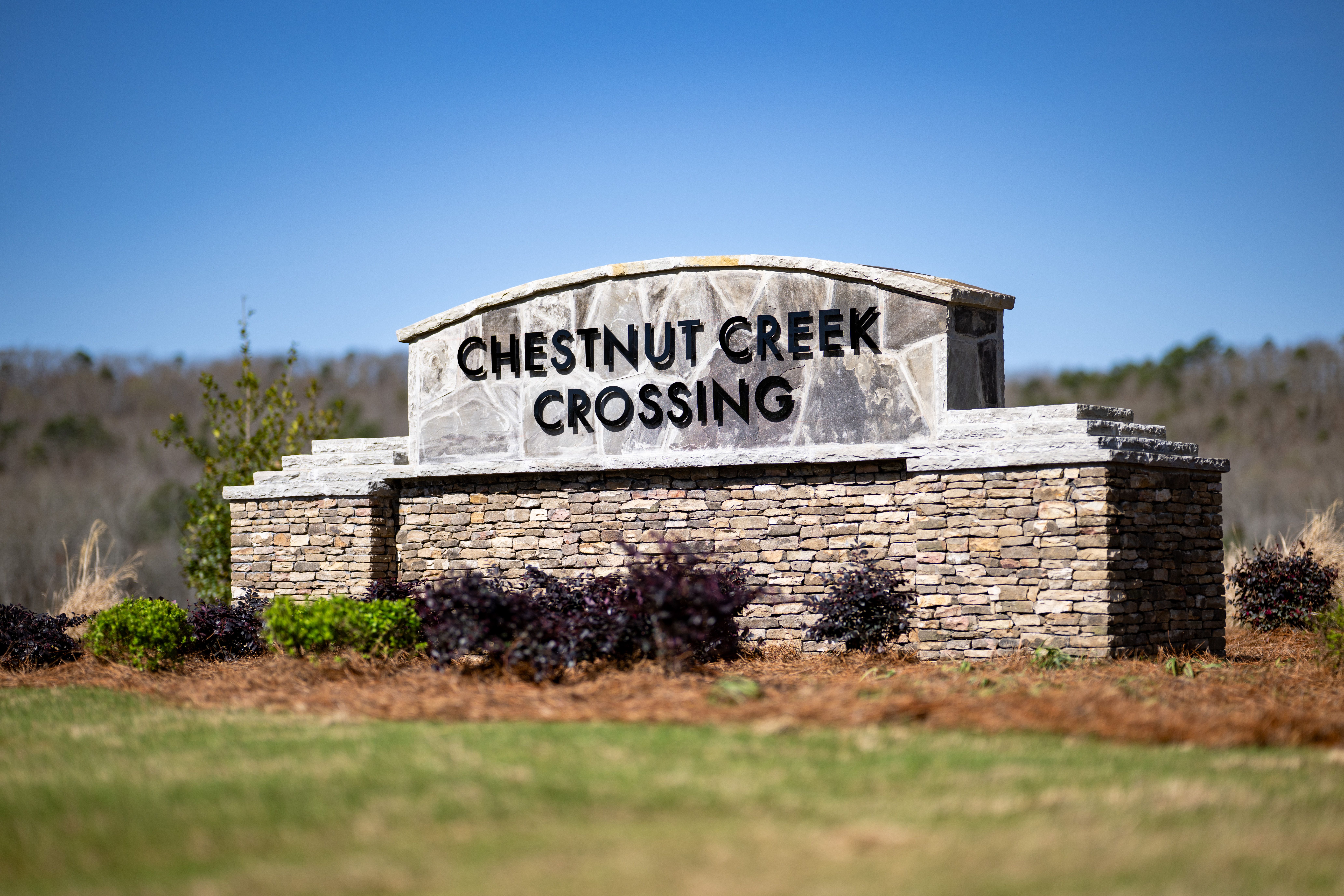casa en Chestnut Creek Crossing por Smith Douglas Homes
