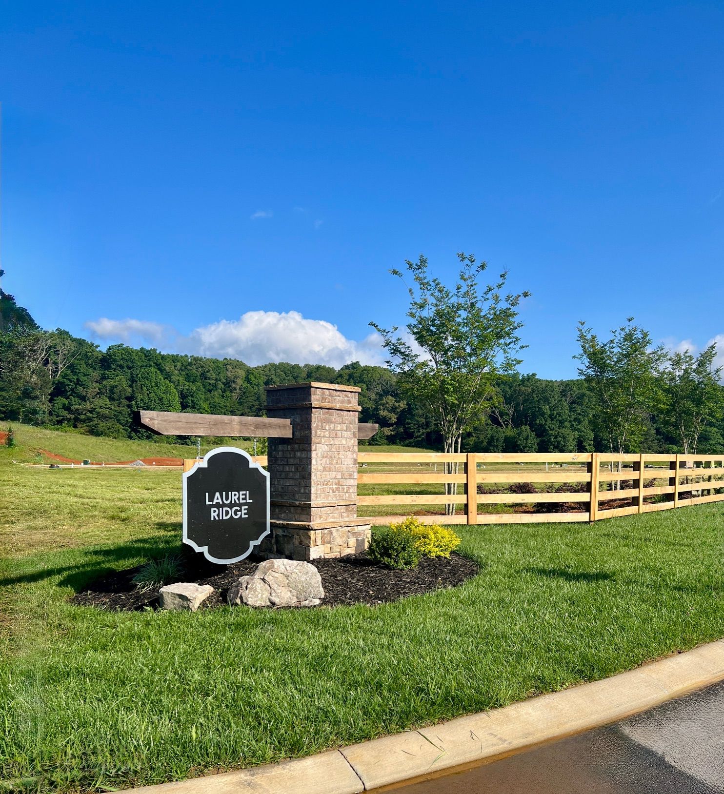 casa en Laurel Ridge por Smith Douglas Homes