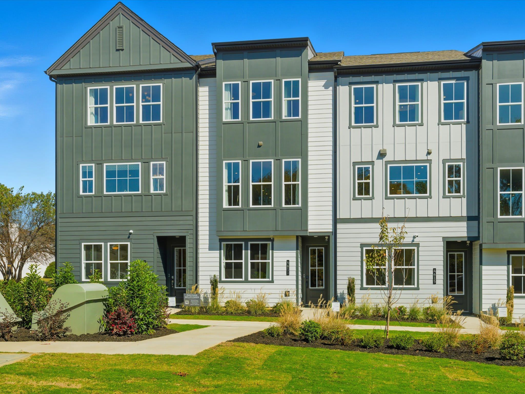 Dahlia - Bellflower: Charlotte, North Carolina - Tri Pointe Homes