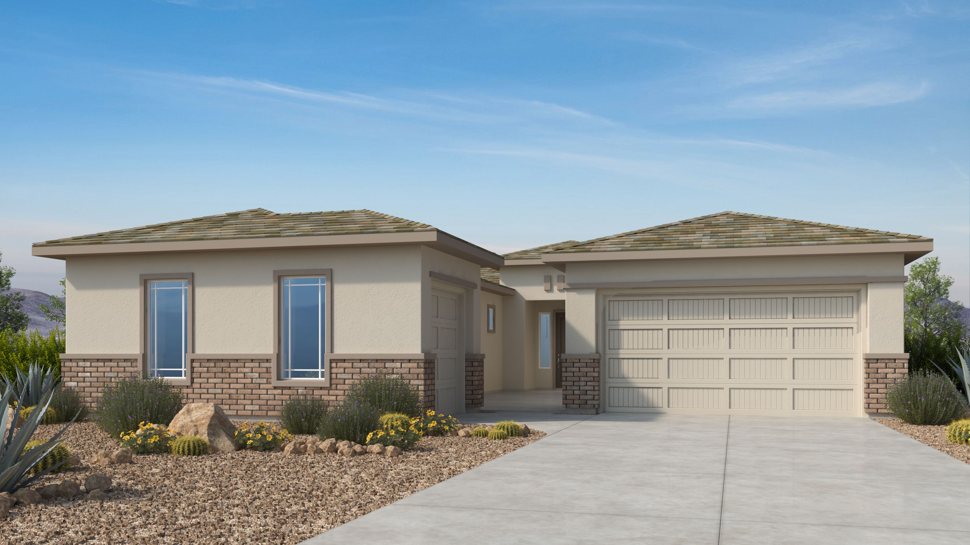 Verdin Passage Collection - Phoenix, AZ