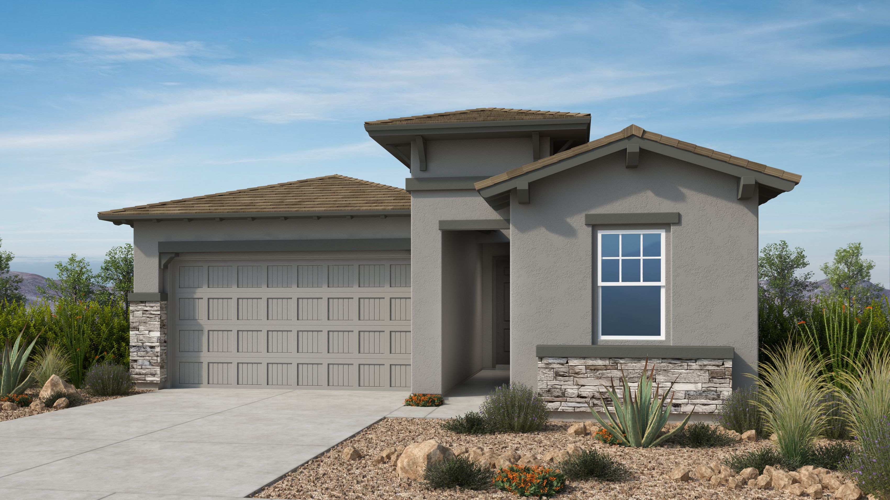Iris - Verdin Discovery Collection: Phoenix, Arizona - Taylor Morrison