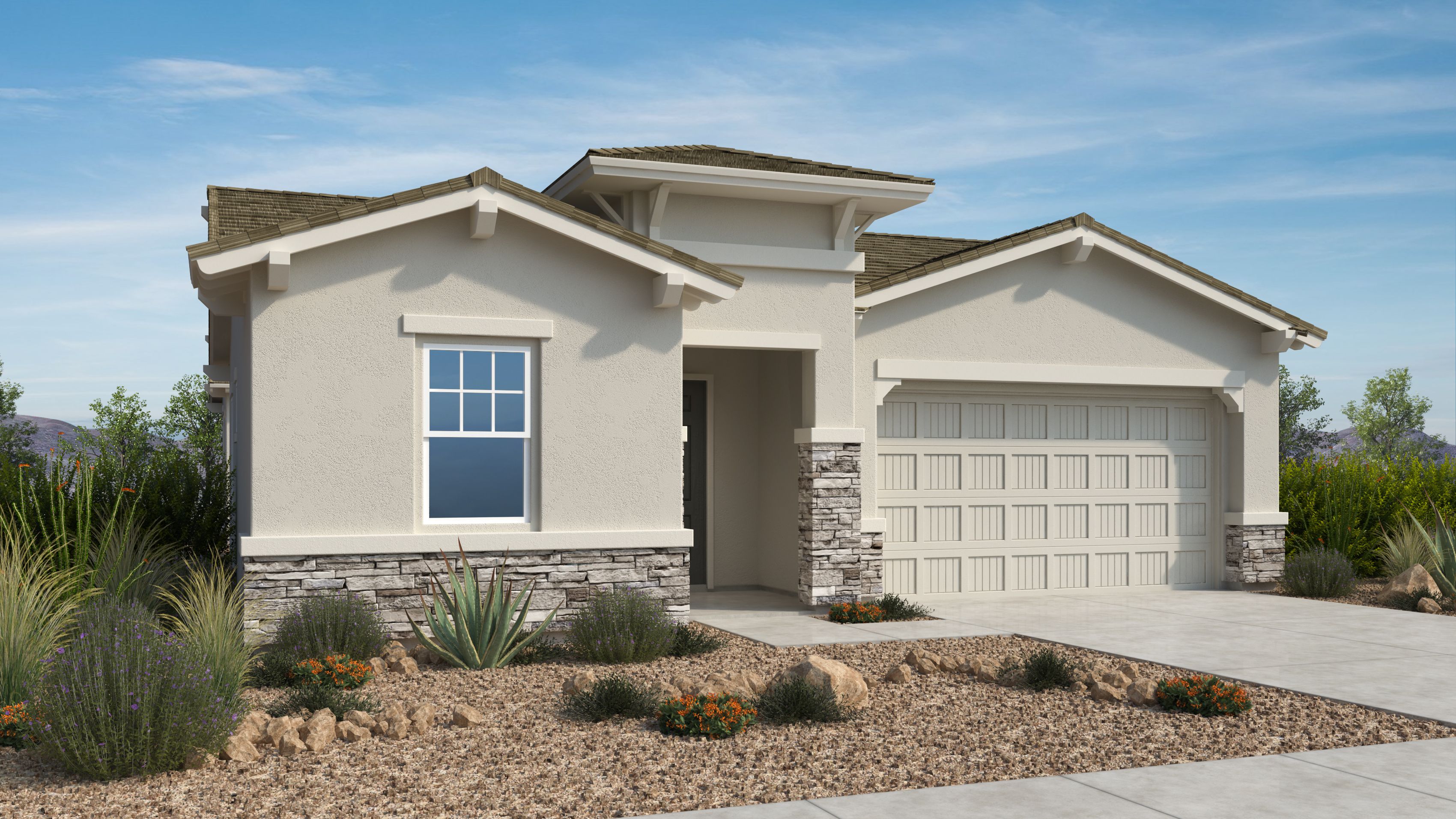 Verdin Discovery Collection - Phoenix, AZ