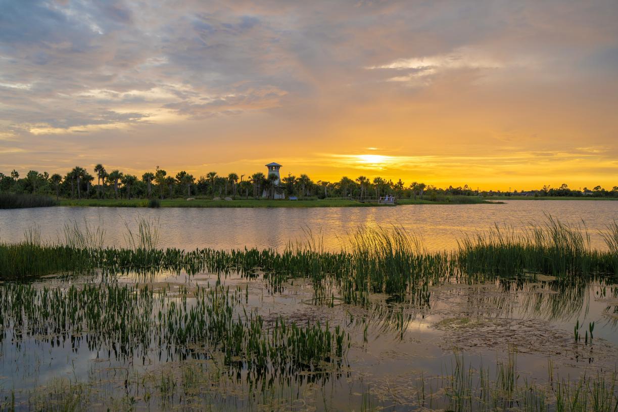 Oakbend Wellen Park por Toll Brothers en Sarasota-Bradenton Florida