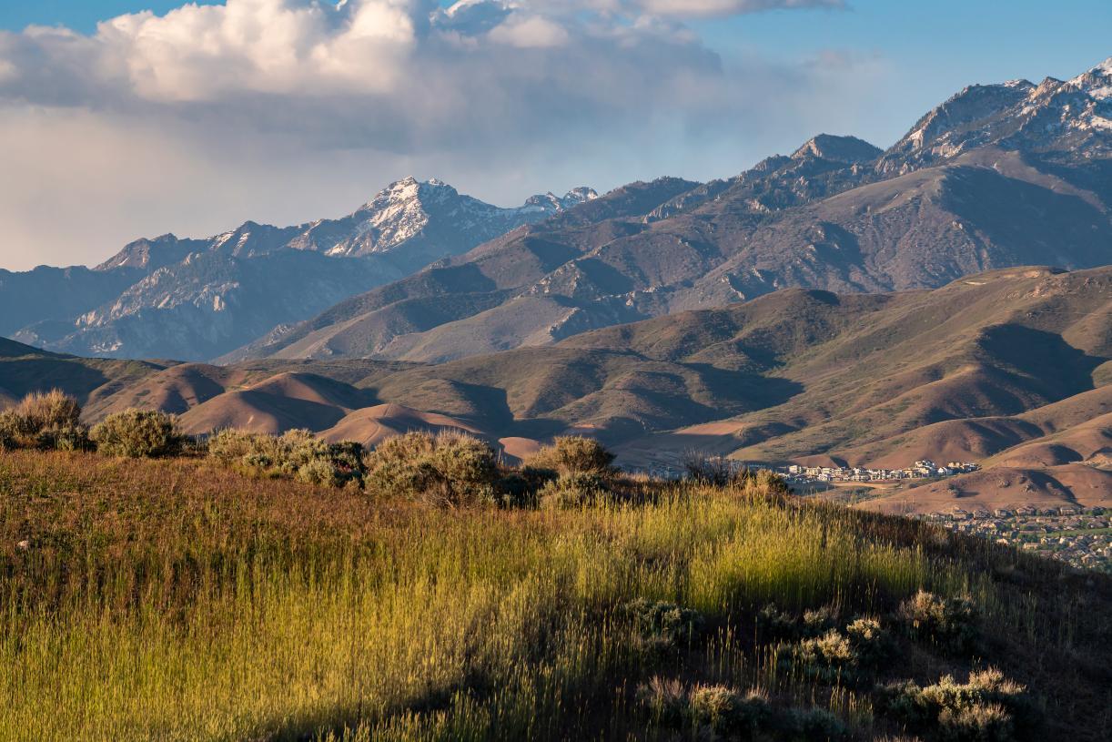 casa en Toll Brothers at Wildflower por Toll Brothers