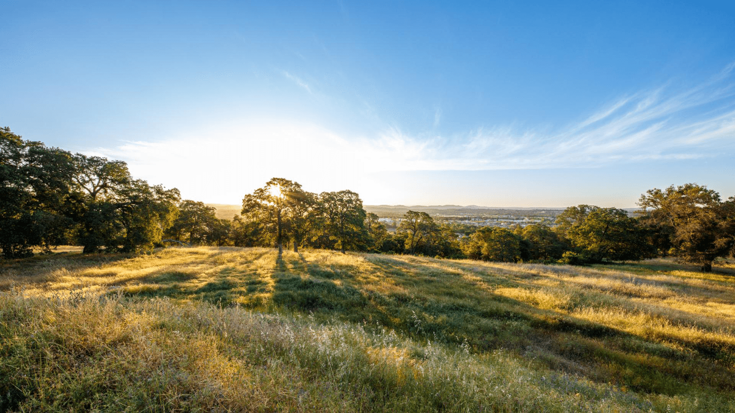 Ridgeline at Bickford by Toll Brothers