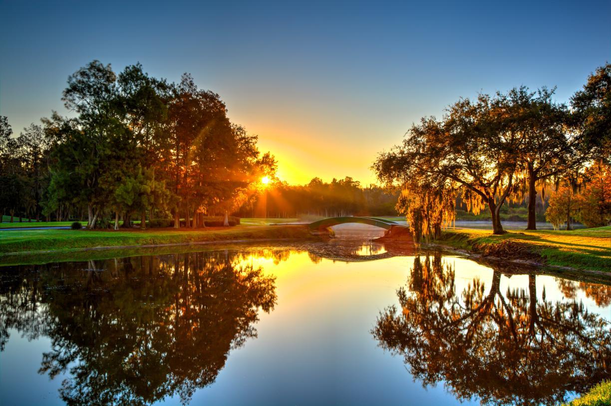 Montrose at Innisbrook - Highbridge Collection - Palm Harbor, FL