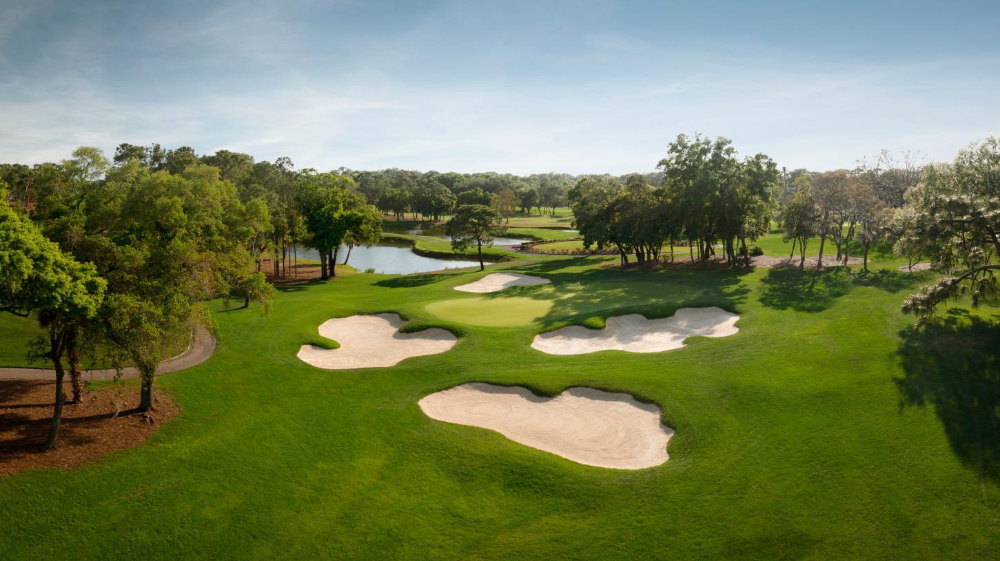 Montrose at Innisbrook - Torrance Collection - Palm Harbor, FL
