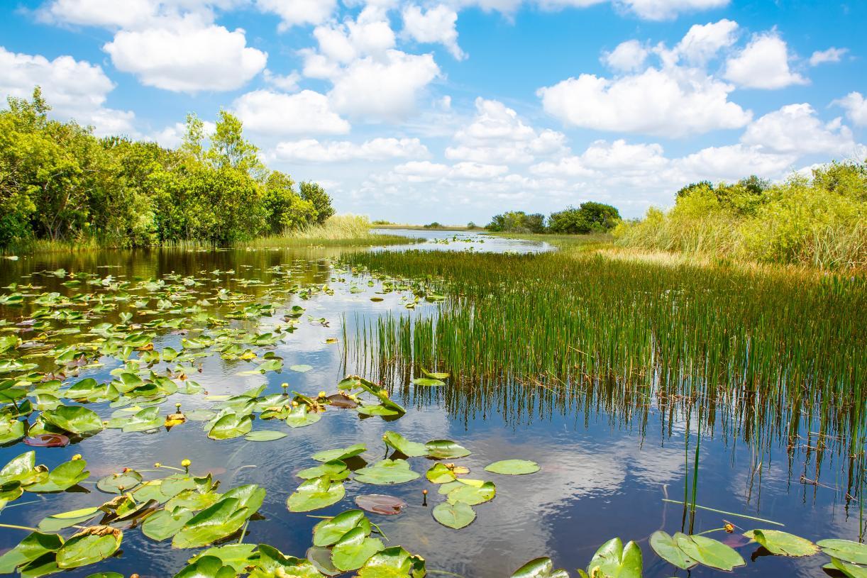Saltgrass at Heron Bay - Parkland, FL