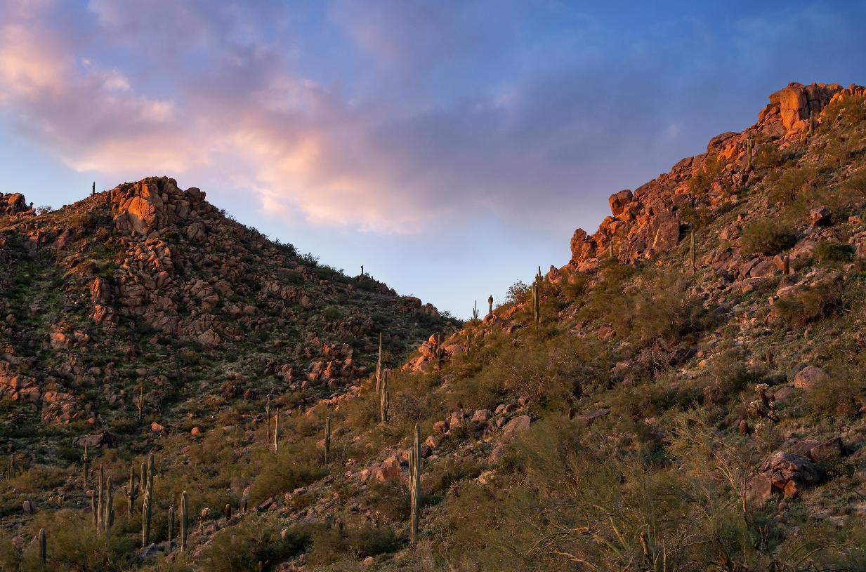 casa en Toll Brothers at Adero Canyon - Adero Collection por Toll Brothers