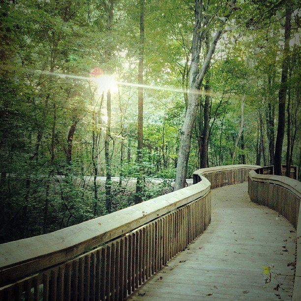 casa en Pandora's Path por Veranda Homes