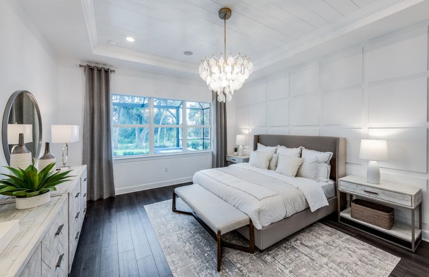Owner's suite with tray ceiling detail