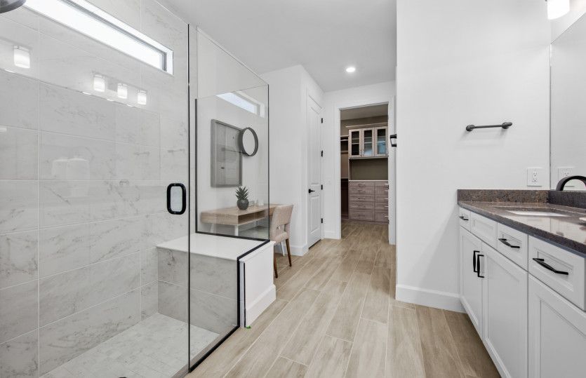 Owner's bathroom with walk-in shower