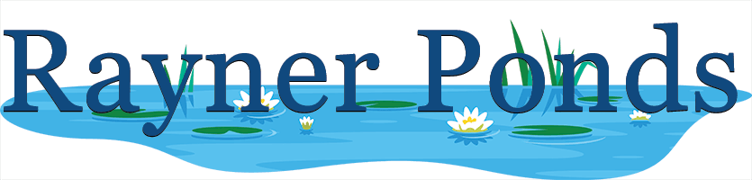 Rayner Ponds,48823
