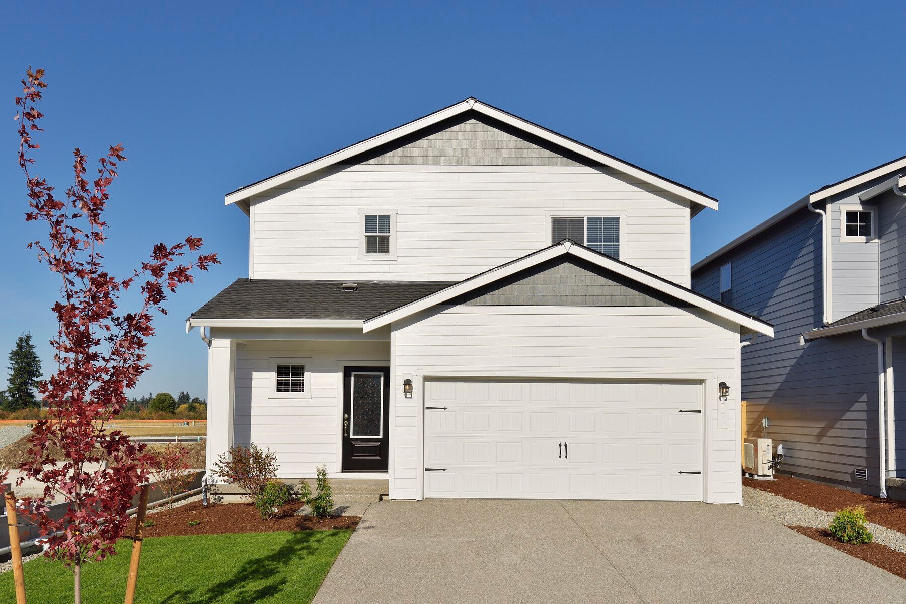 The Beech by LGI Homes.