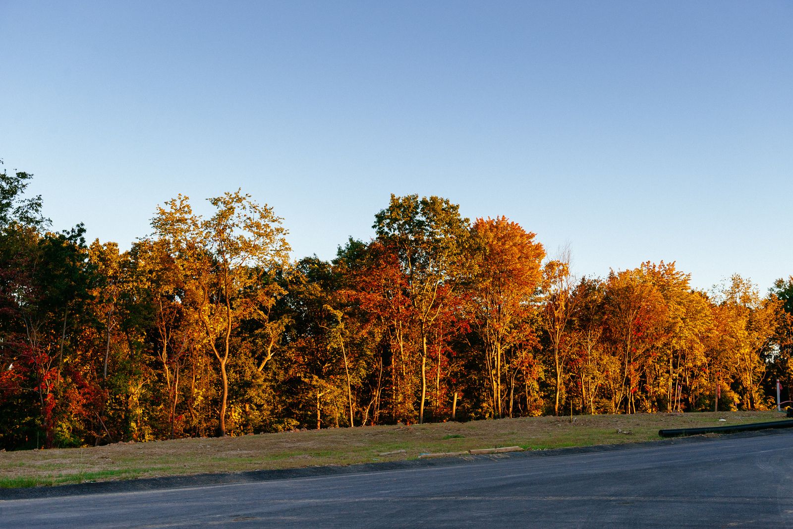 Just 21 homesites – tucked away and surrounded by mature trees, yet still convenient to everything.